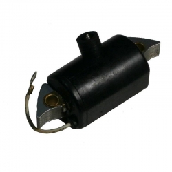 CEWKA ZAPŁONOWA ELEKTR.BOSCH-10655