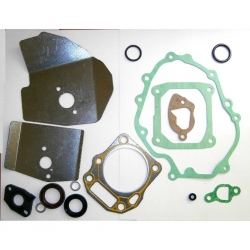 ZESTAW USZCZELEK MTD17-JC94-00100-10667