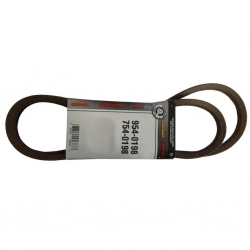PASEK MTD 754-0198-16400